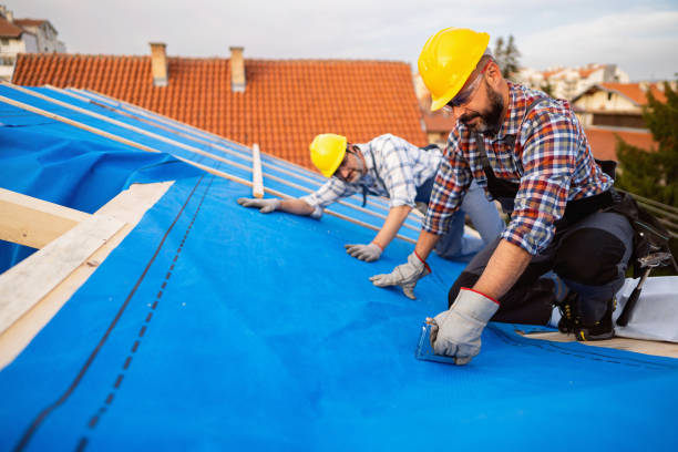 Best Metal Roofing Contractor  in Belle Haven, VA