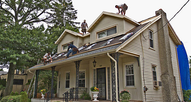 Professional Roofing Contractor in Belle Haven, VA