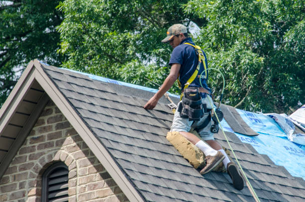 Best Roof Maintenance Services  in Belle Haven, VA