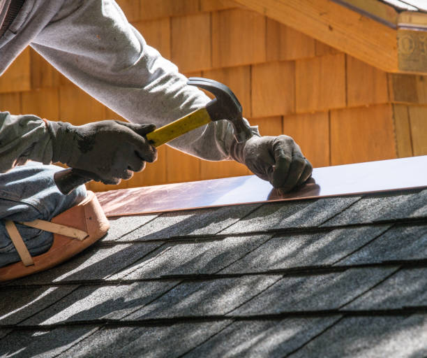 Best Roof Gutter Cleaning  in Belle Haven, VA